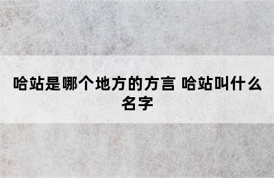 哈站是哪个地方的方言 哈站叫什么名字